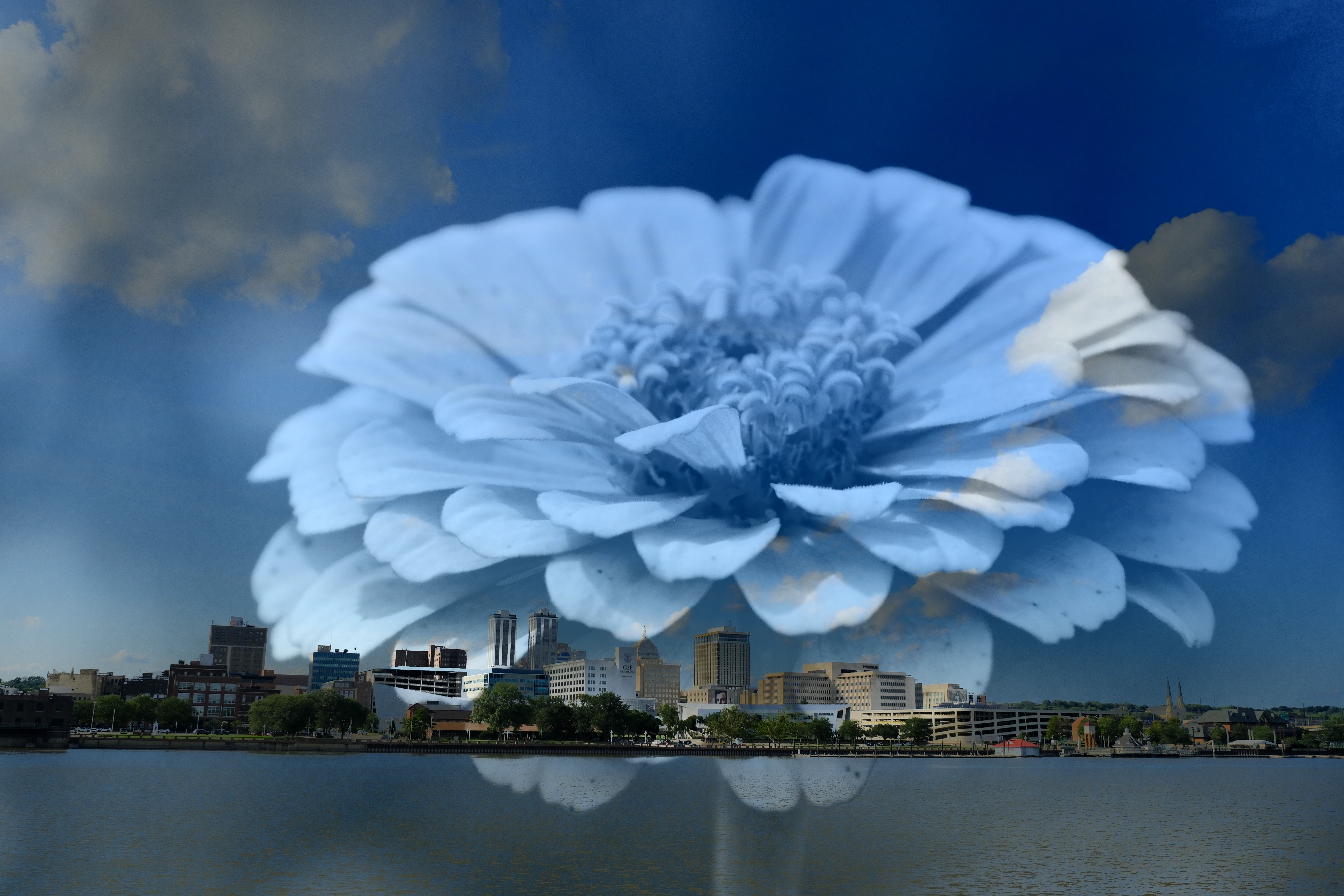 An oversized pale blue flower blended into clouds above a waterfront city skyline