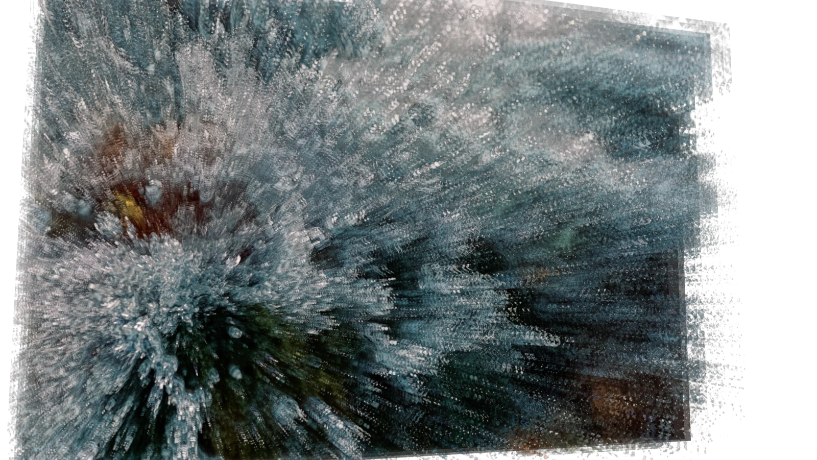 A pale flower expanded into a silver-blue photographic relief