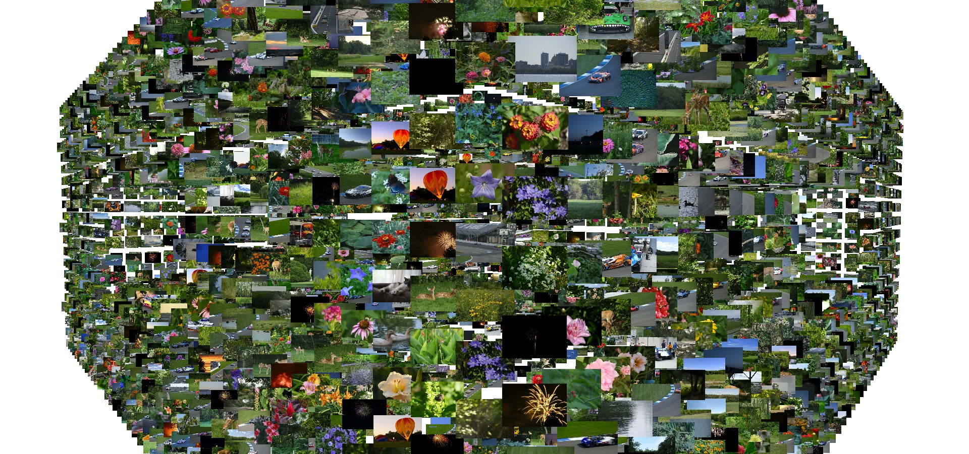 A large curved collection of flower, wildlife, landscape, and racing photographs