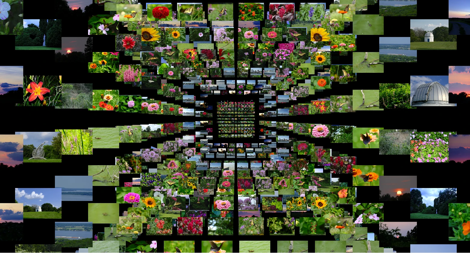 Flower and landscape photographs arranged into a deep image tunnel