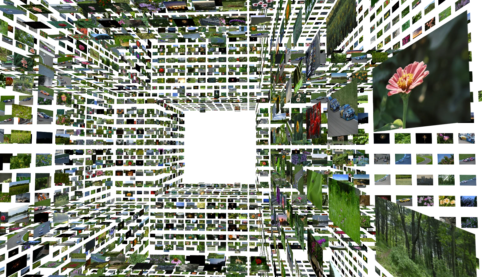 A camera view inside a three-dimensional corridor of photographs, with a pink flower image in the foreground