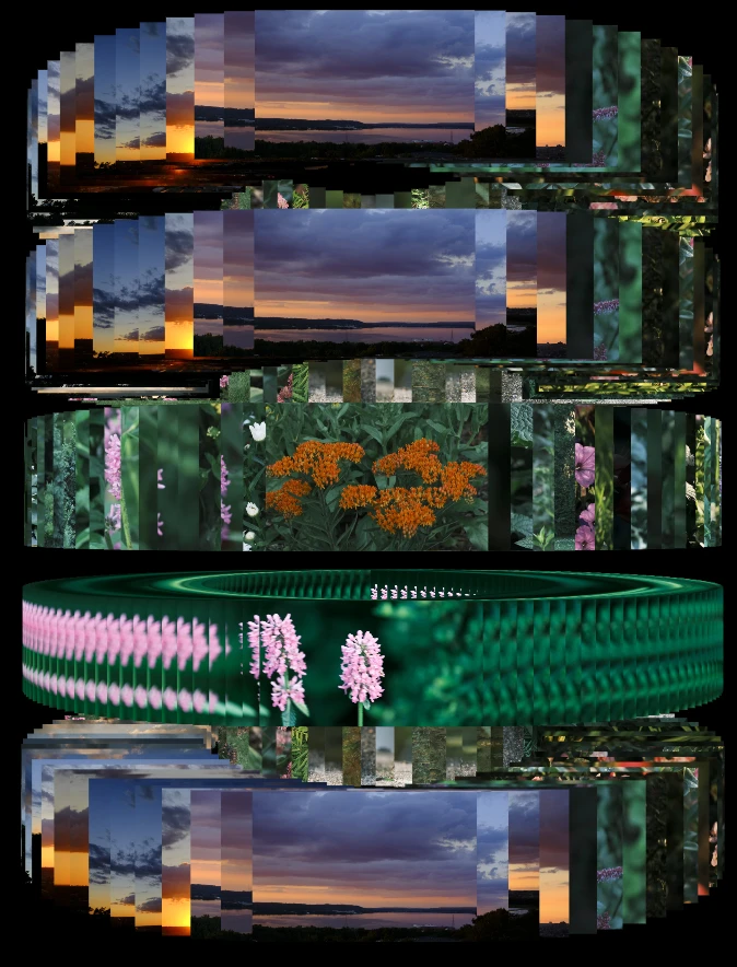 Stacked sunset and flower photo bands with a circular gallery